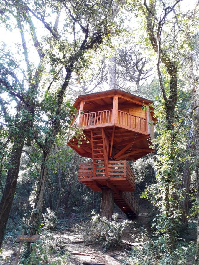 Cabanes Dosrius Canyamás Extérieur photo
