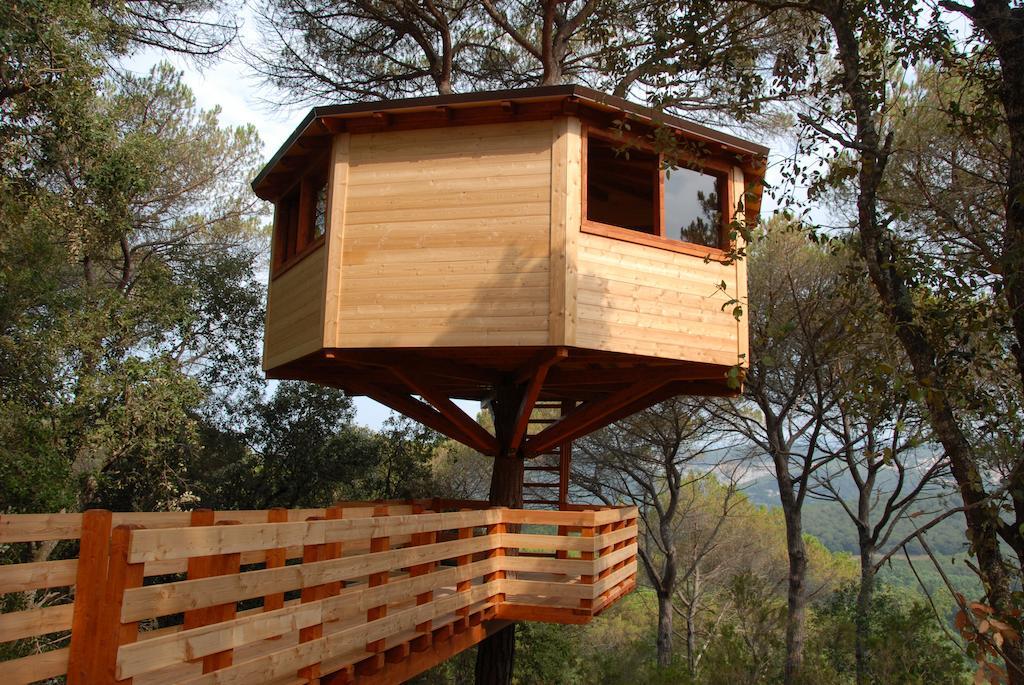Cabanes Dosrius Canyamás Extérieur photo