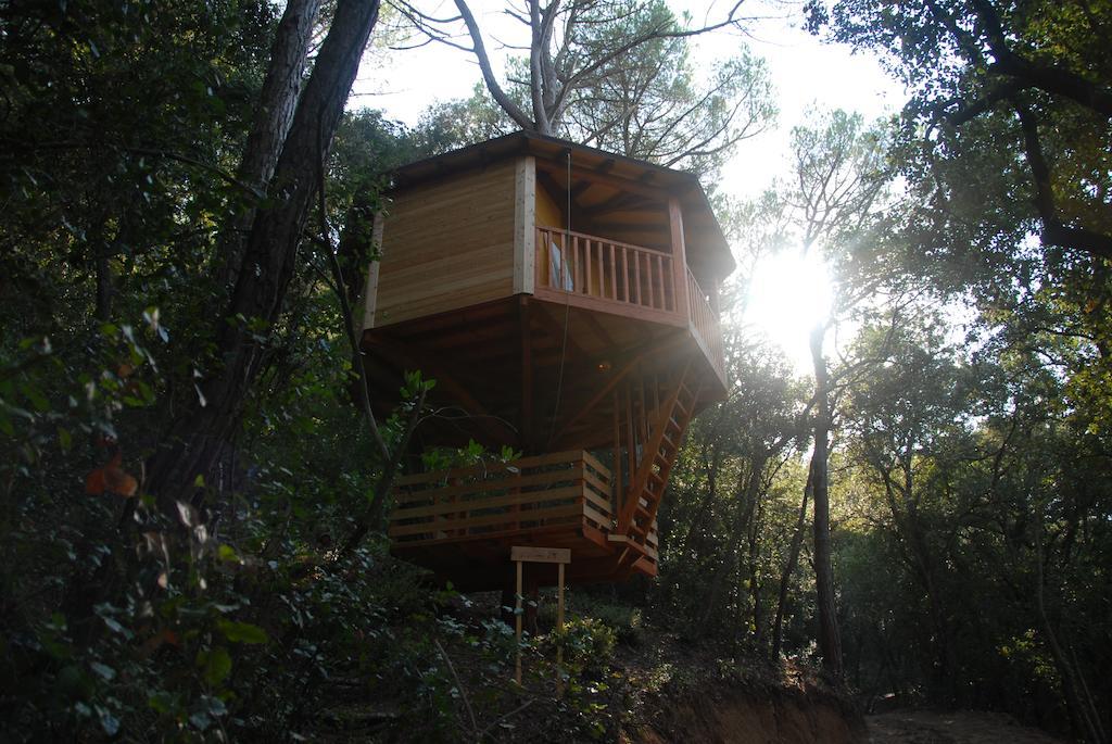 Cabanes Dosrius Canyamás Extérieur photo